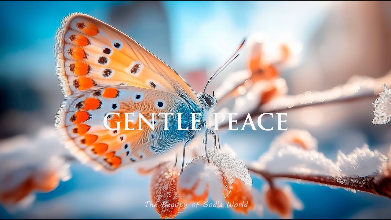 Gentle Peace | Calm Instrumental Music for Prayer, Meditation & Inner Stillness