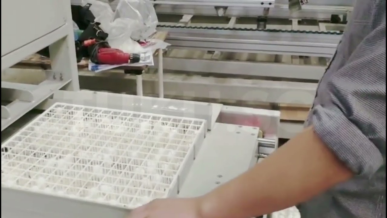 Automatic Cocoon Picking Machine