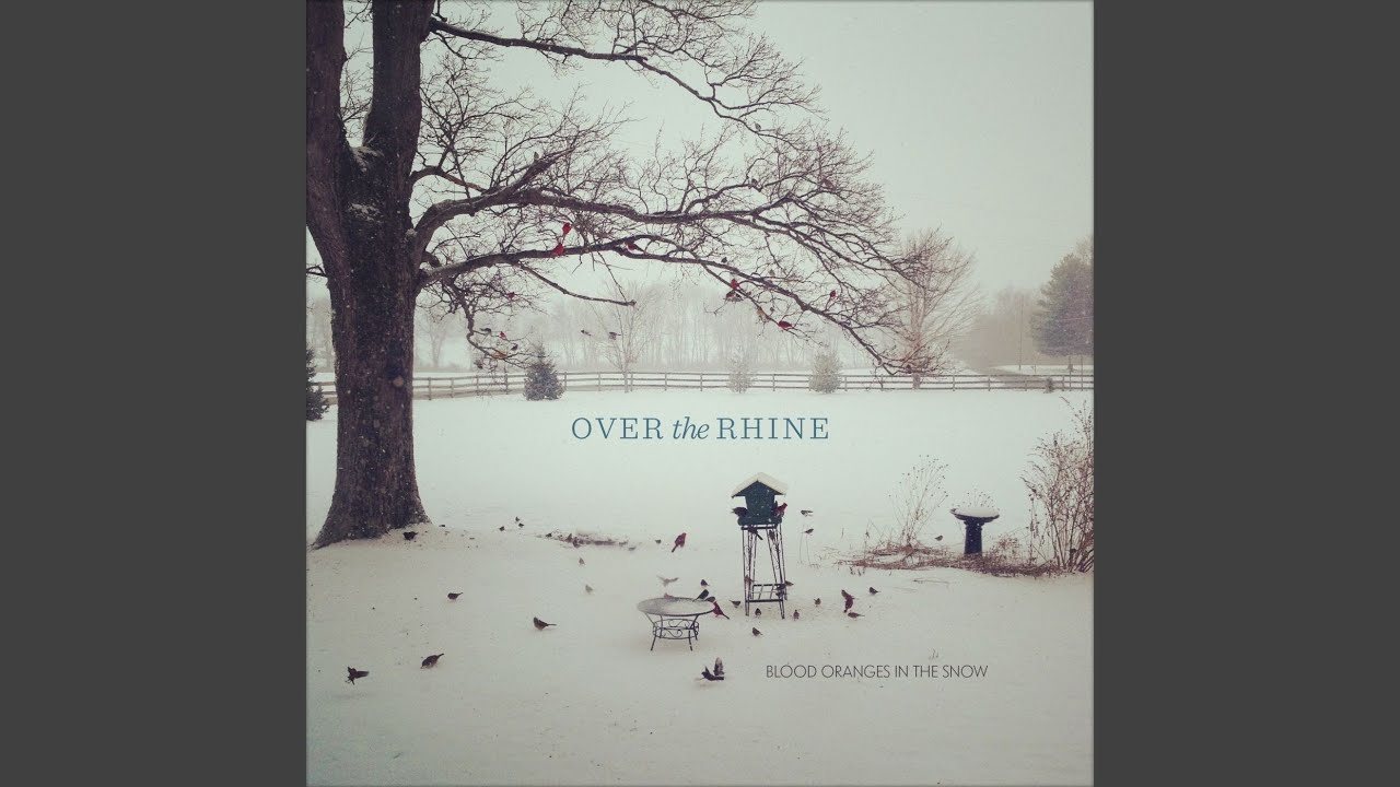 Blood Oranges In The Snow
