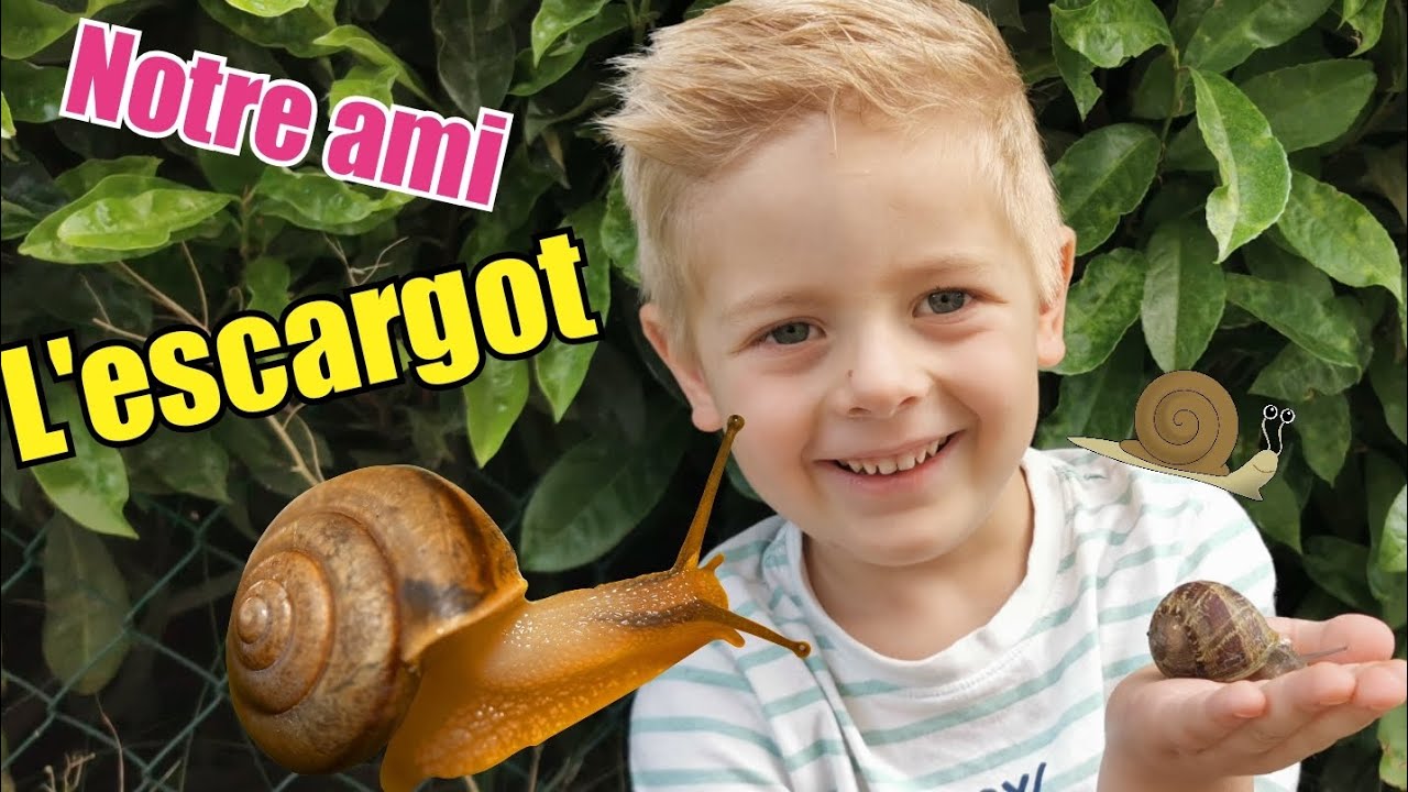 L'ESCARGOT ! Chasse et infos