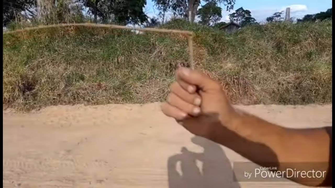 HOMEM ENSINANDO COMO ENCONTRAR FILÃO DE OURO COM VARA DE MADEIRA
