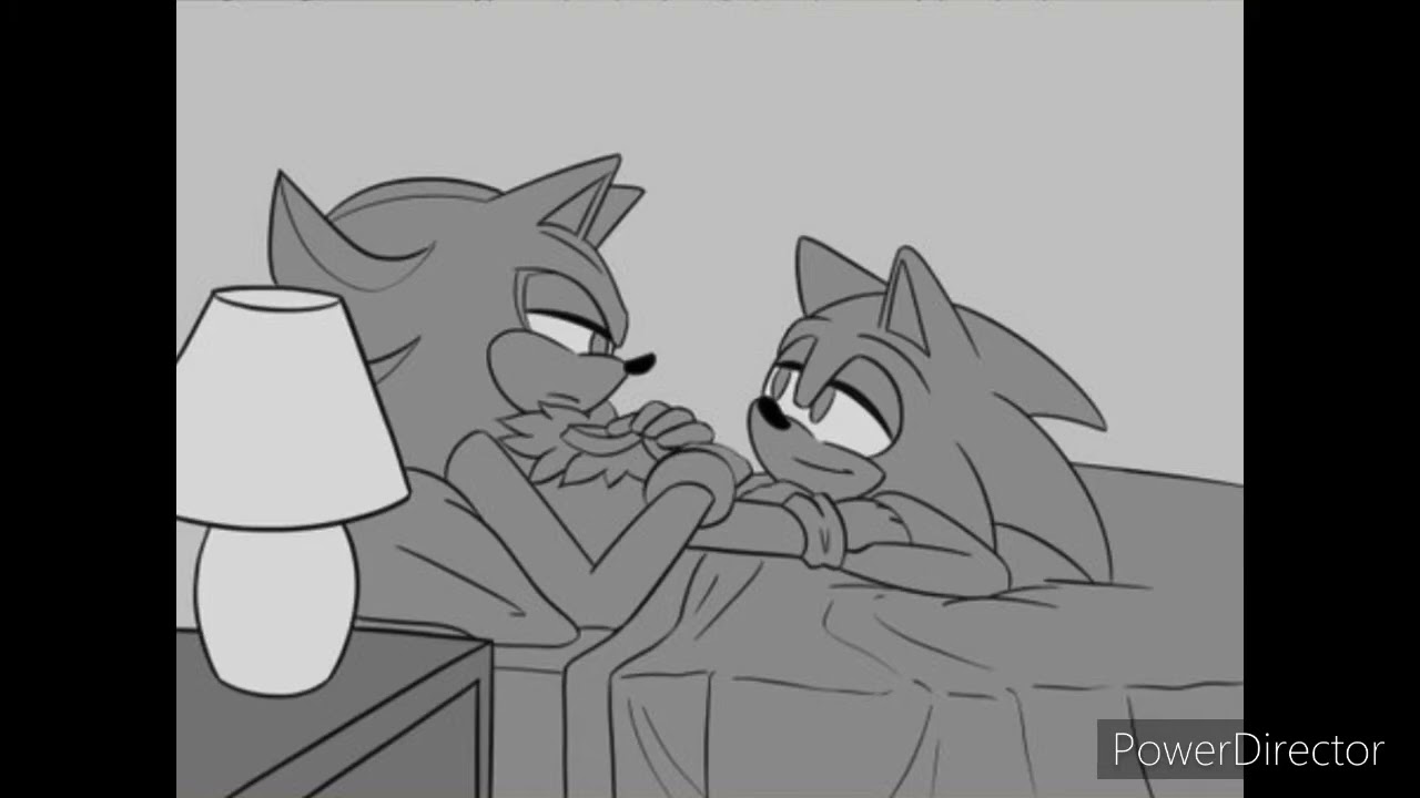 I will never forget you - Sonadow Comic