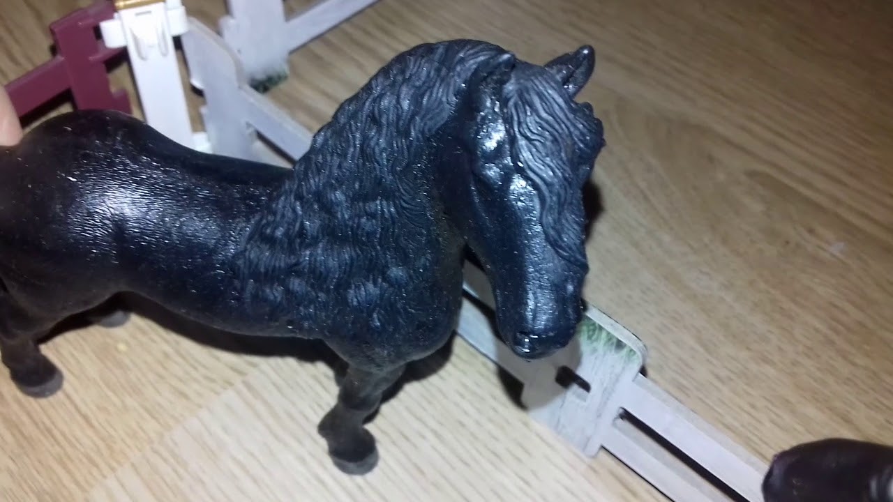 Co si asi koně myslí