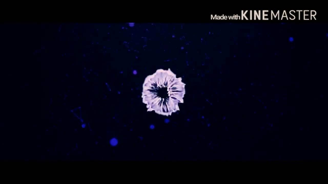 Uma intro linda;)