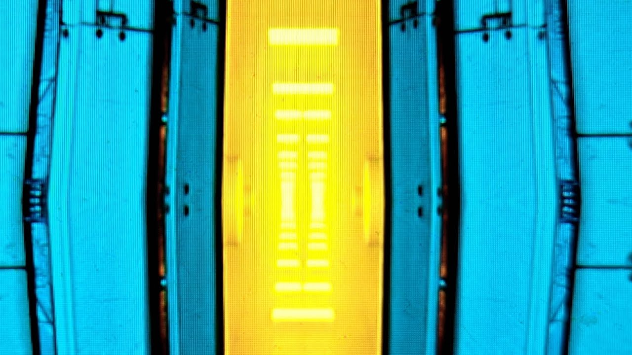 In den backroms gefangen im echten leben