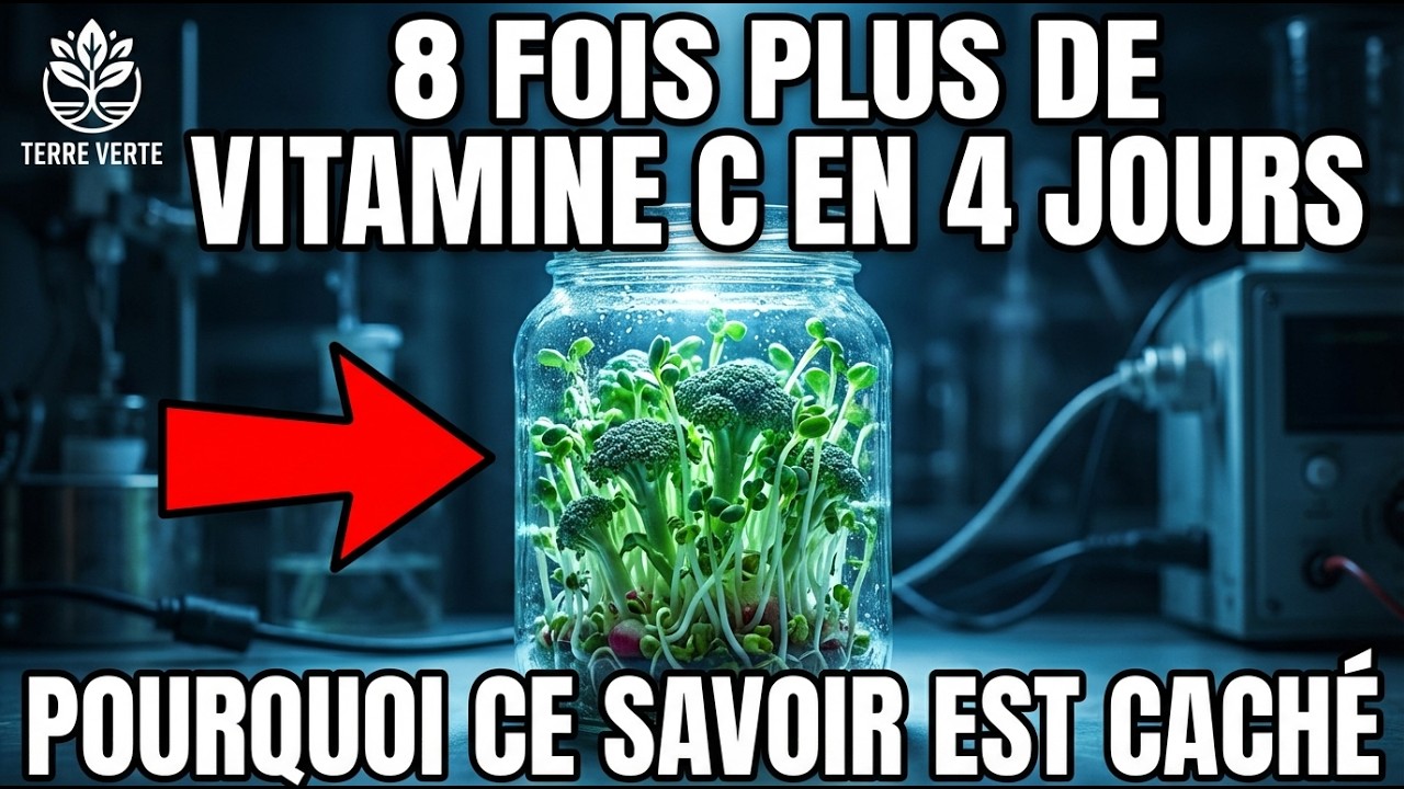 Créez Une Usine De Vitamine C Dans Votre Placard. Sans Soleil. 8X En 4 Jours. Pourquoi C’est Caché ?