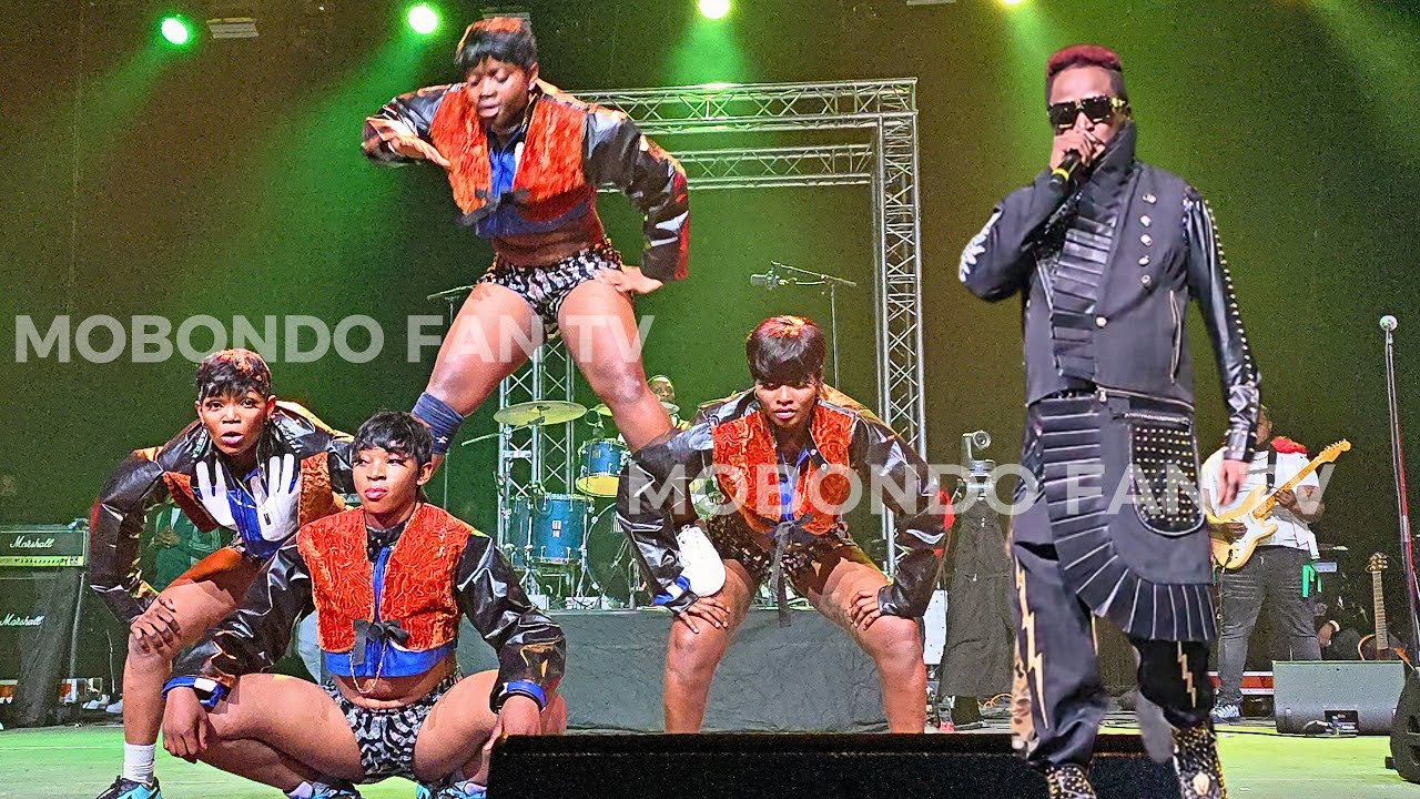 CONCERT DE WERRASON A ARENA GRAND PARIS : LES DANSEUSES DE WERRASON