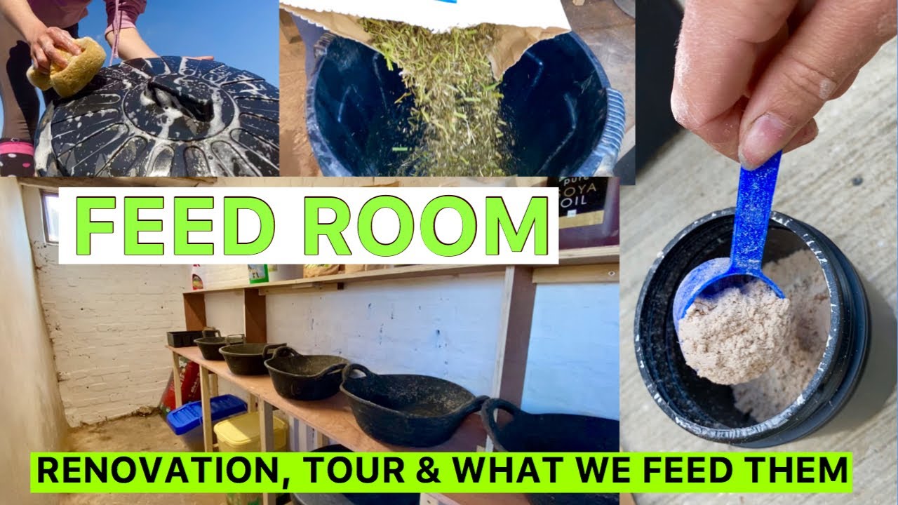 FEED ROUTINE/RENOVATION/TOUR | What we feed our horses!
