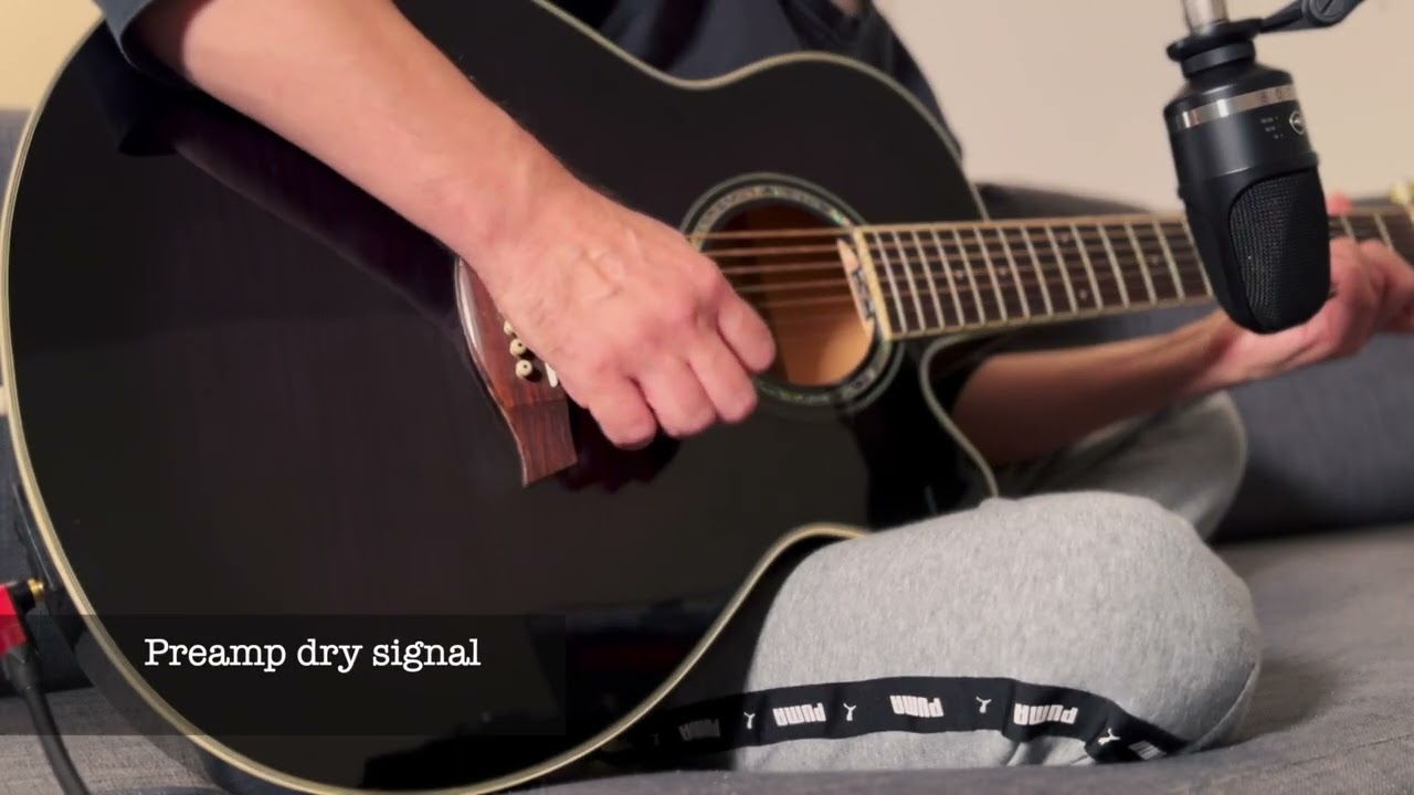 7 String Acoustic Ibanez AEL207E demo . Wet & dry sound