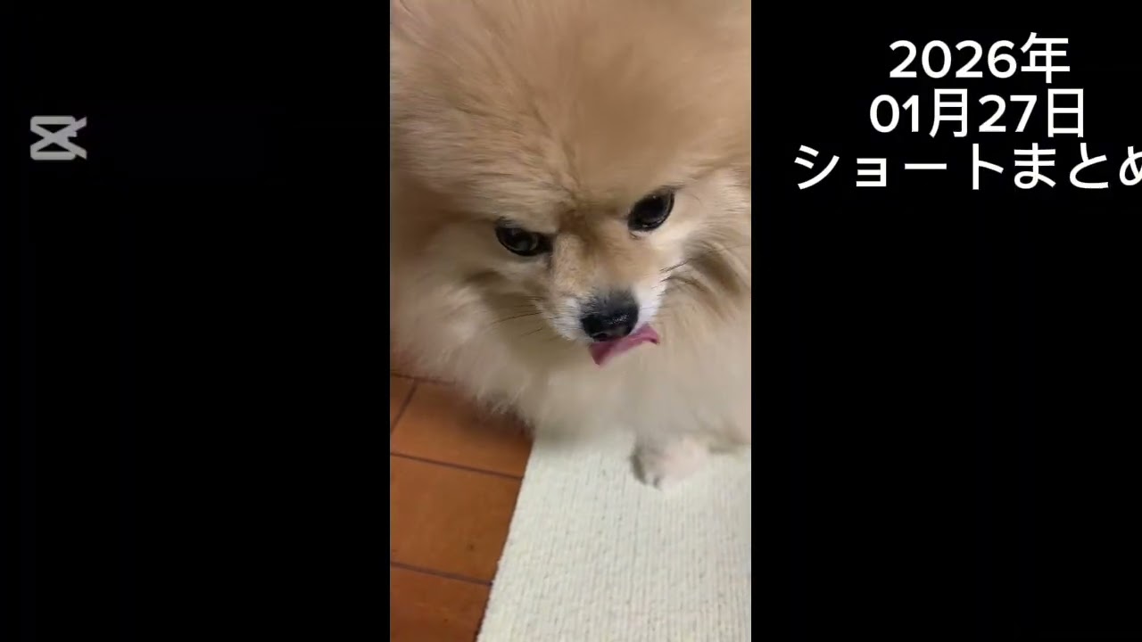 【1日まとめ】2026年01月27日のマフィンダイジェスト🧁🐾