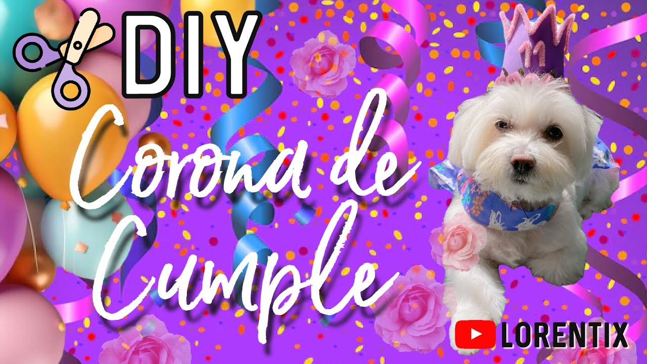DIY ✂️ Corona de cumpleaños para Perros, Facil, Economica I LORENTIX