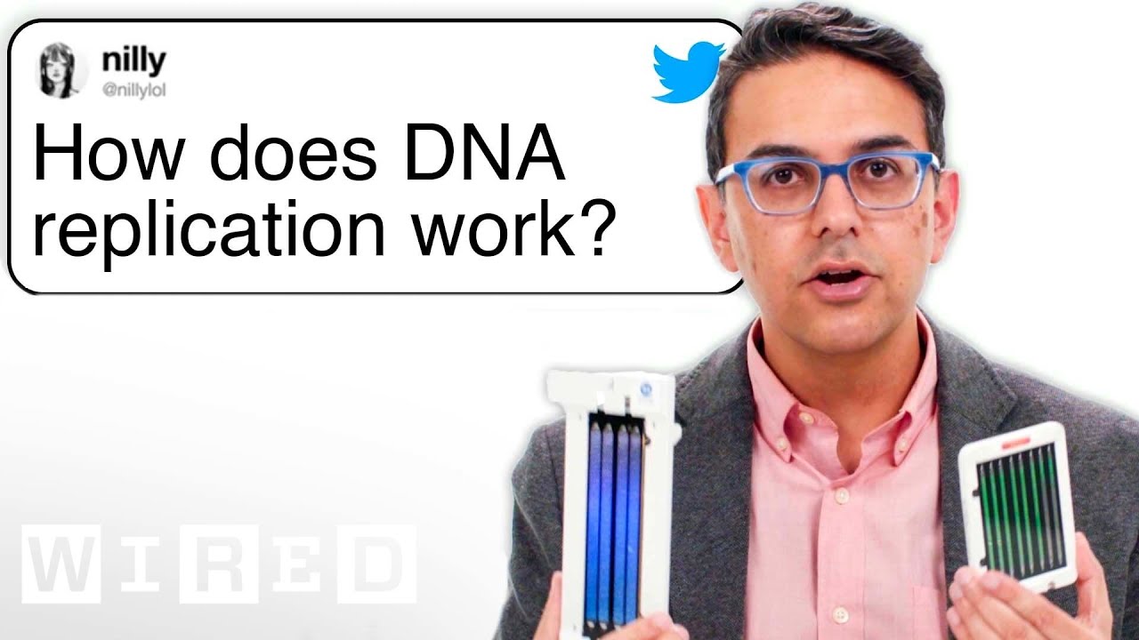 Genetyk człowieka odpowiada na pytania o DNA z Twittera | Wsparcie techniczne | WIRED