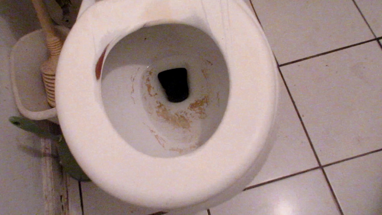 Cleaning Lenny's Pad, The Finale