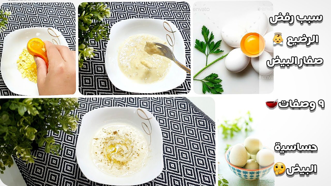 ٩ وصفات لتقديم صفار البيض🍳سبب رفض الطفل الرضيع صفار البيض👼الفرق بين التقيؤ المصتنطع وقيئ الحساسية