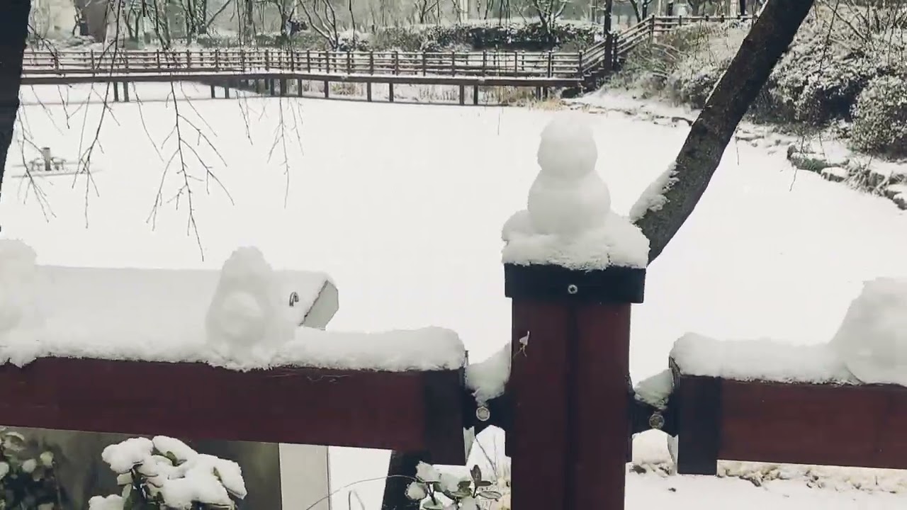 It's Winter 🌨️Seoul❄️ South Korea #seoul #seoulview #snow #southkorea #seoulsearching