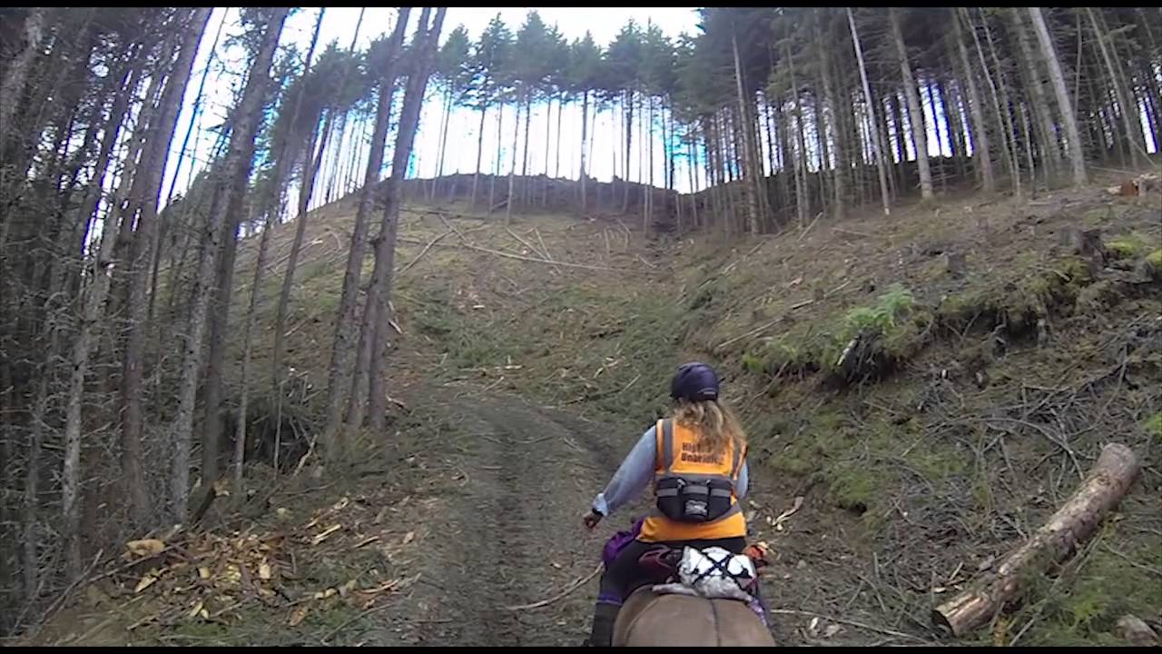 Scotland Trip 2014 (Part 2- Highlands Unbridled)