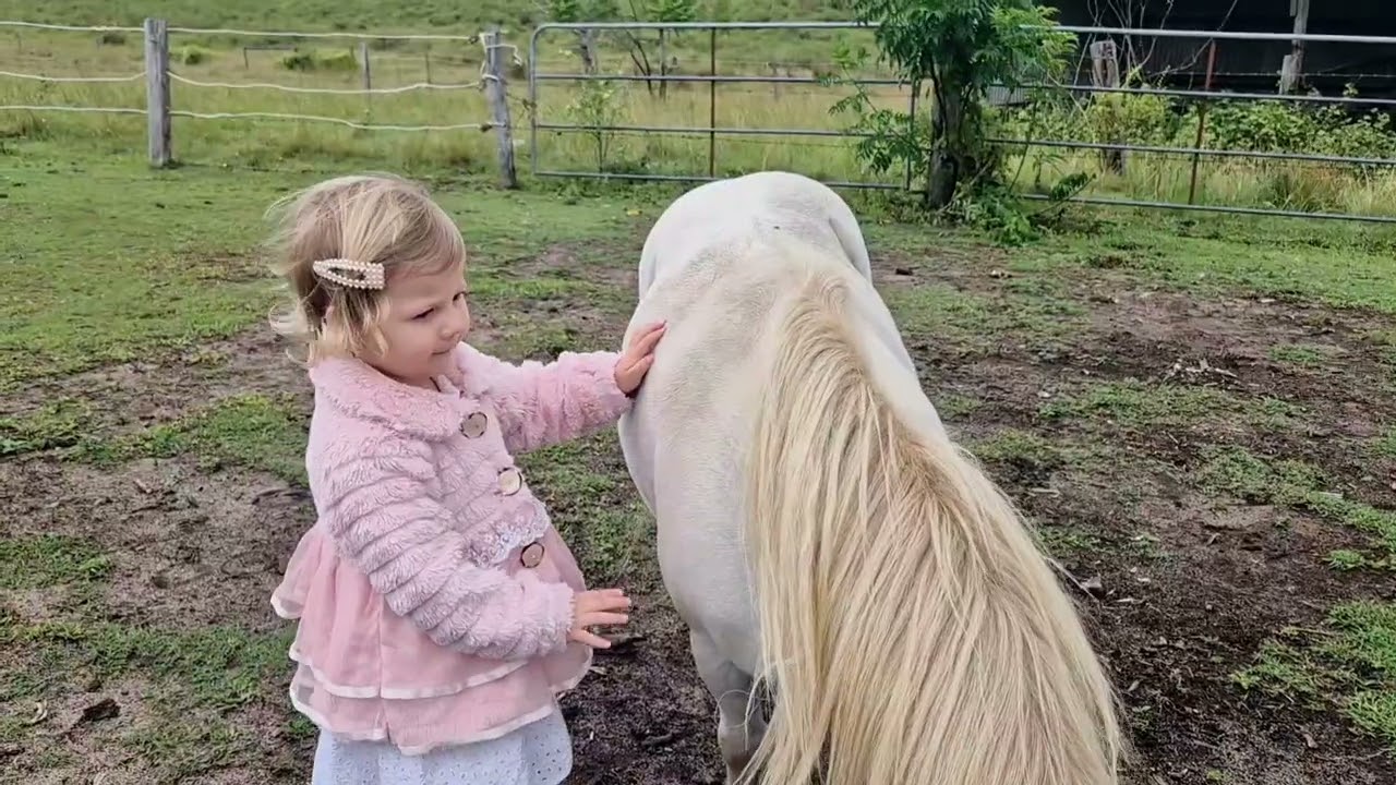 Welcoming Our New Horse, Cadillac 🐴