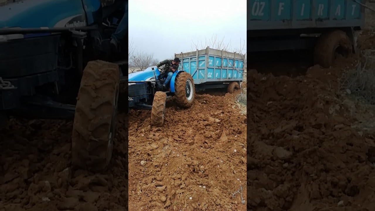 New holland tt 65 hayvan gübresi çekiyor