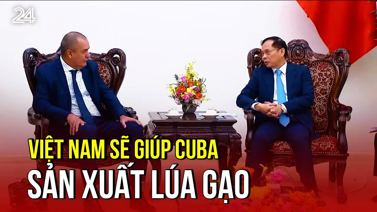 Việt Nam sẽ giúp Cuba sản xuất lúa gạo | VTV24