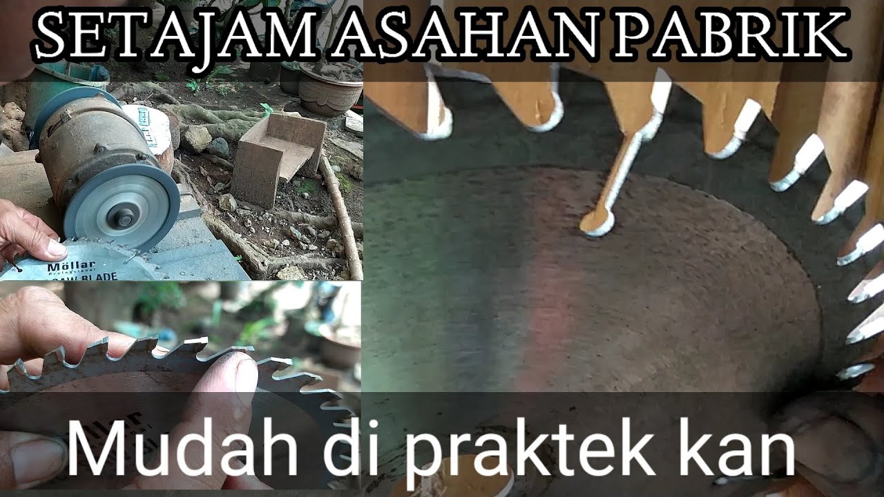 CARA MENGASAH PISAU GERGAJI SERKEL DENGAN BENAR,setajam asahan pabrik.