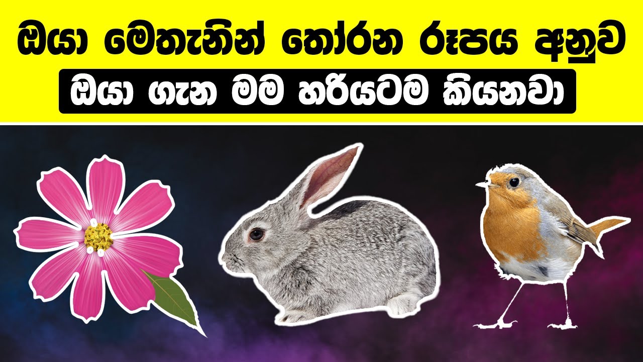 ඔයා මෙතැනින් තෝරන රූපය අනුව ඔයා ගැන මම හරියටම කියනවා | About you According to your Selection