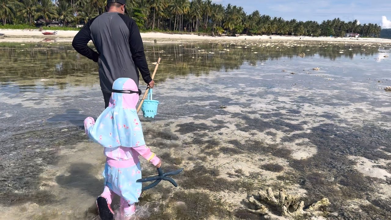 Berburu kerang dipantai kaniungan besar yg lagi surut