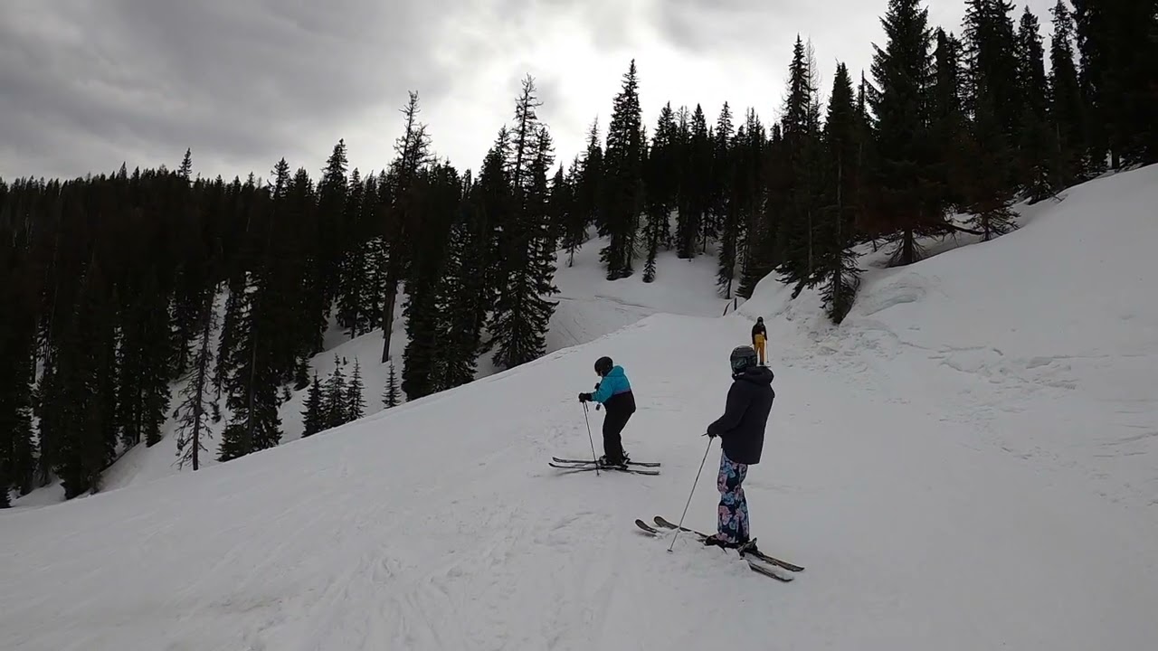 Bluewood: Tamarack