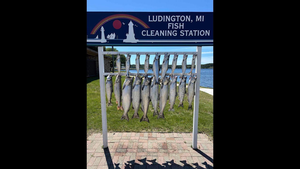 Ludington Fishing Report 7/1/24