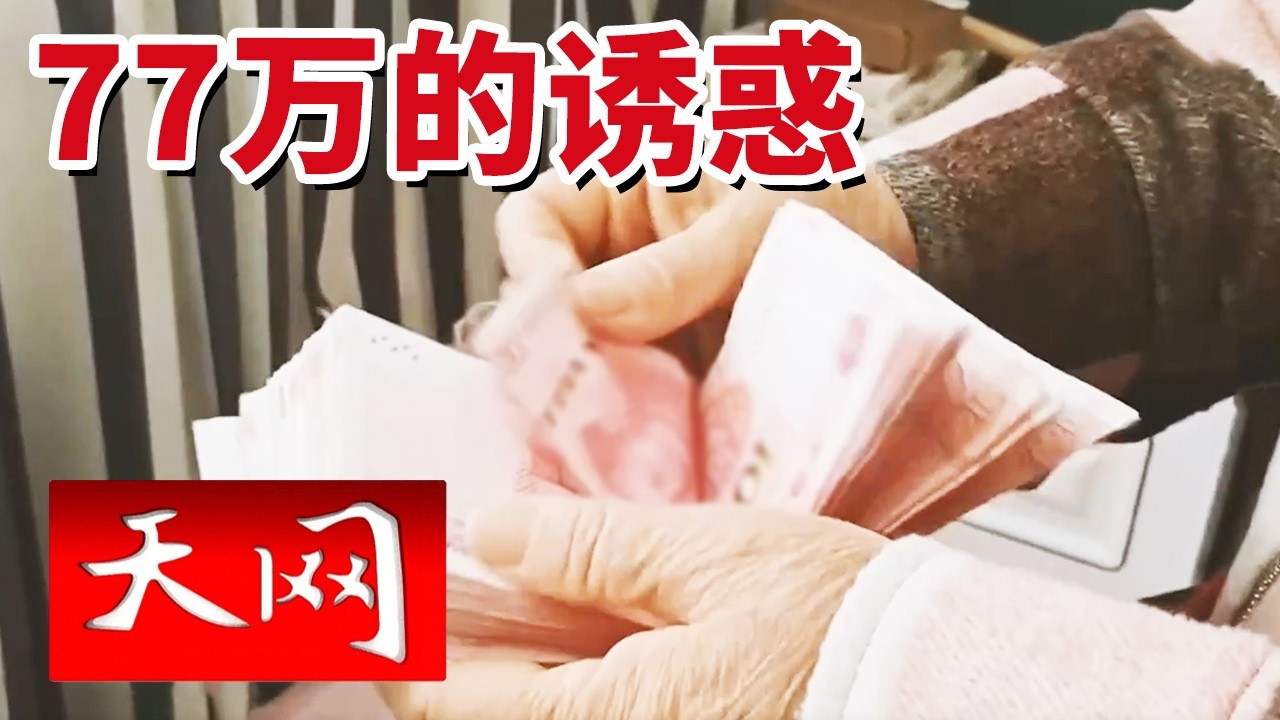 《天网》77万元现金半路被抢 贴心“军官”设下连环套 报警人竟也是“局中人”？20260302