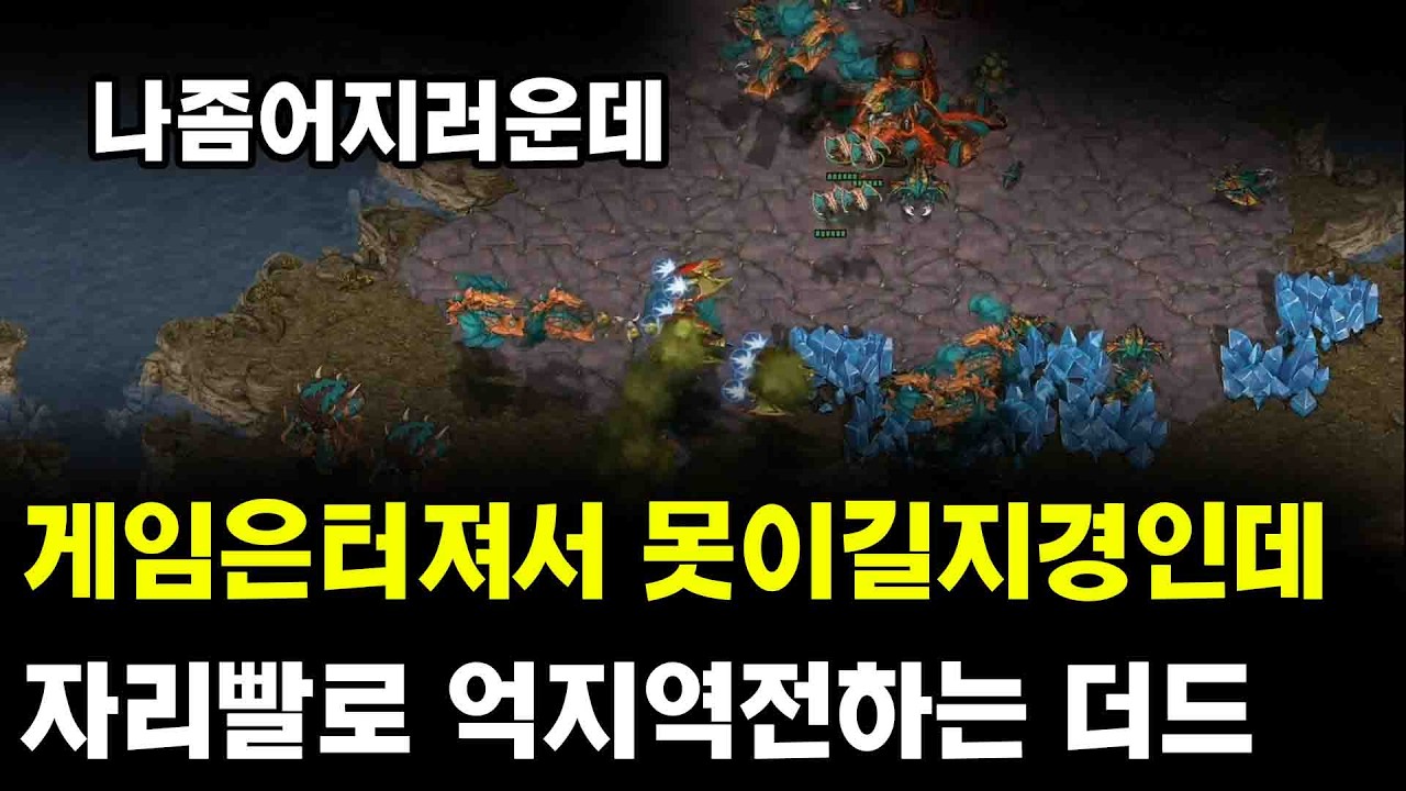 [더드튜브] 