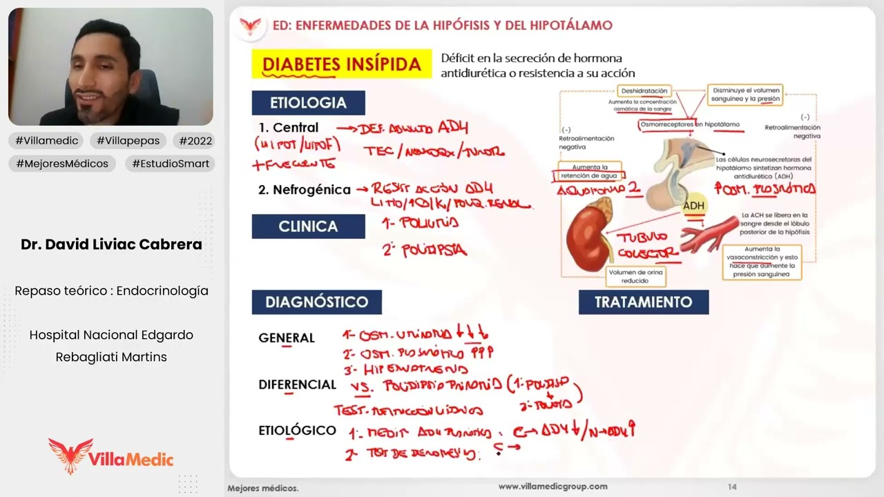 ENFERMEDADES DE LA HIPÓFISIS Y DEL HIPOTÁLAMO PARTE 2 - ENDOCRINOLOGÍA - VILLAMEDIC