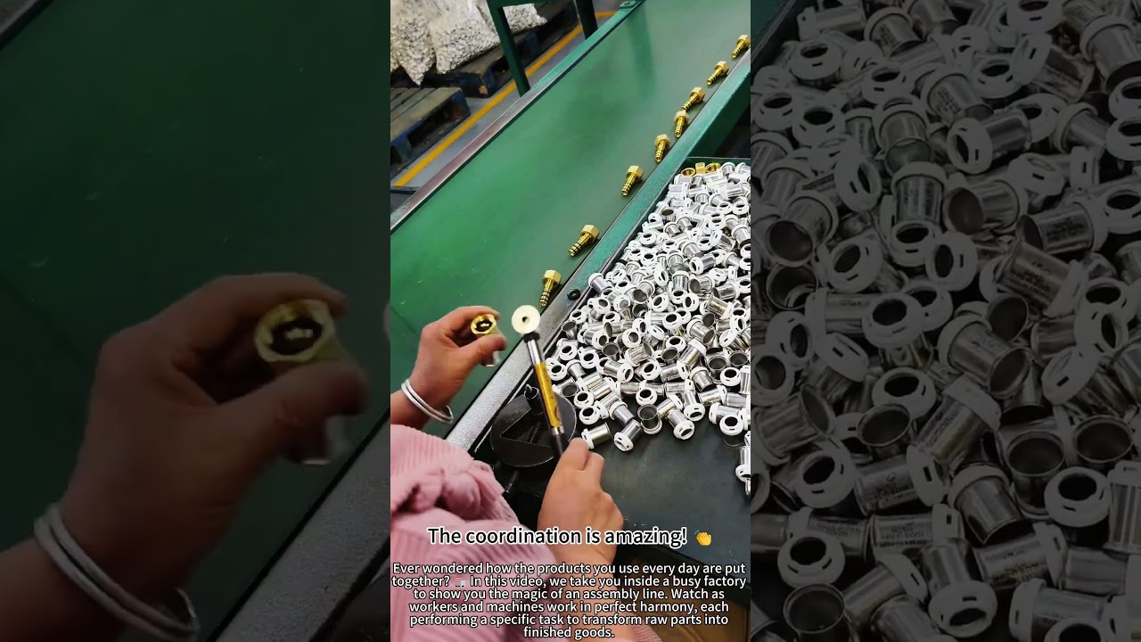See How a Factory Assembly Line Works! ⚙️