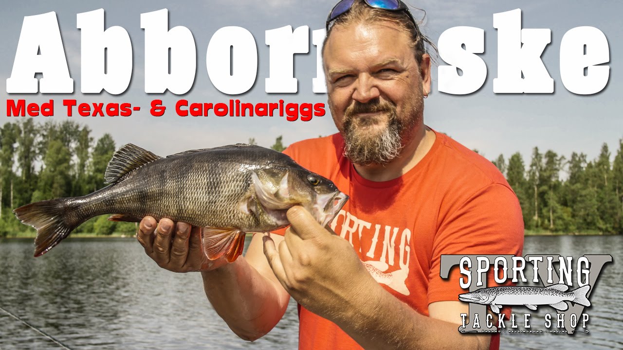 Sporting TV - Abborrfiske med Texas och Carolina rig