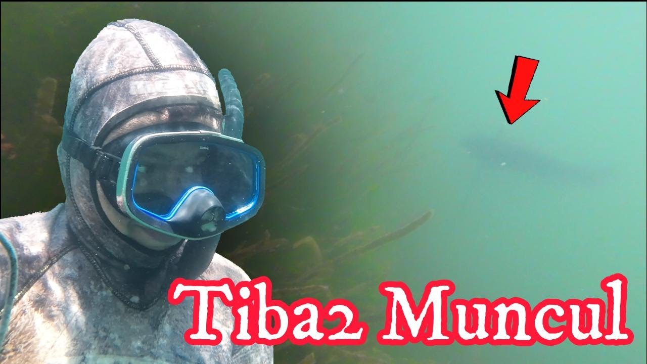 SUMPAH!!! Jantung Mau Copot. Spearfishing Awal 2026 Langsung Dikagetkan IKAN BESAR Yang Tiba2 muncul