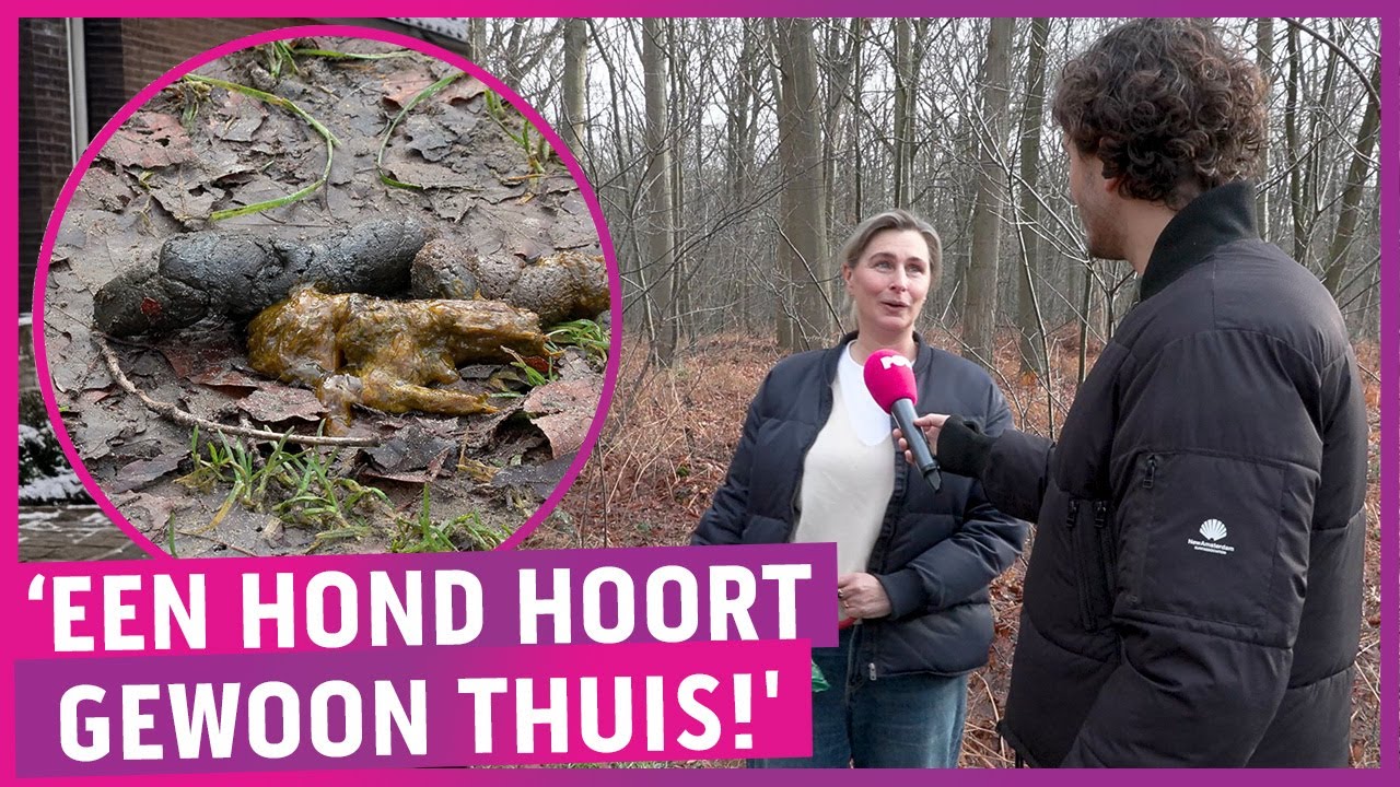Honden in bos verboden vanwege stikstof: ‘Meest onlogische plek!'