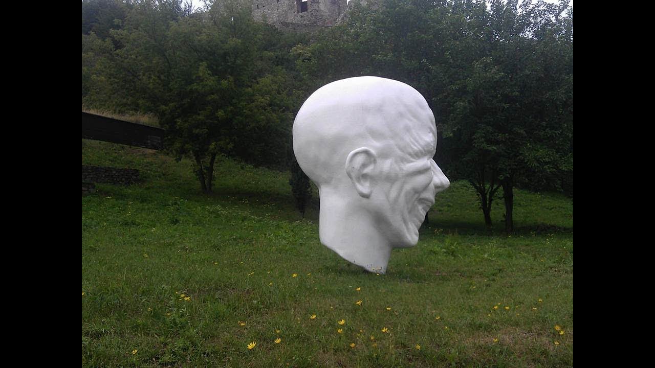 Мышцы головы