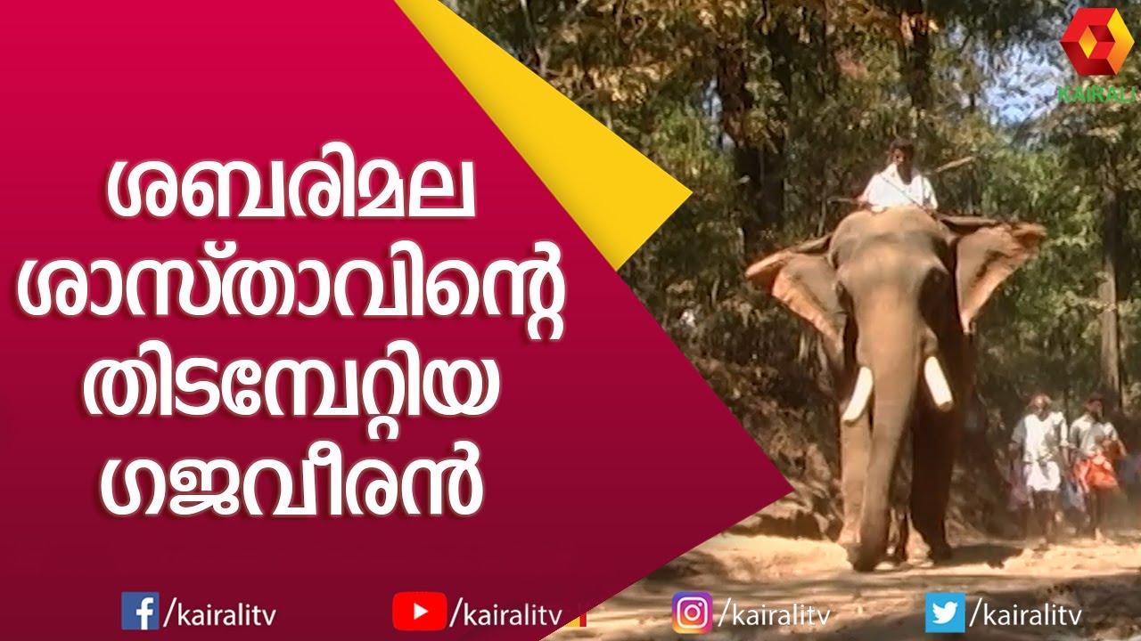 ശബരിമല ശാസ്താവിന്റെ സ്വന്തം മലയാലപ്പുഴ രാജൻ #1 | Malayalappuzha Rajan | E4 Elephant | Kairali TV