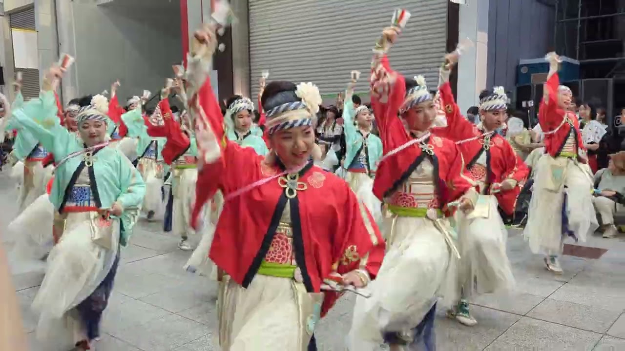 ほにや　第70回よさこい祭り【金賞】　後夜祭・全国大会2023