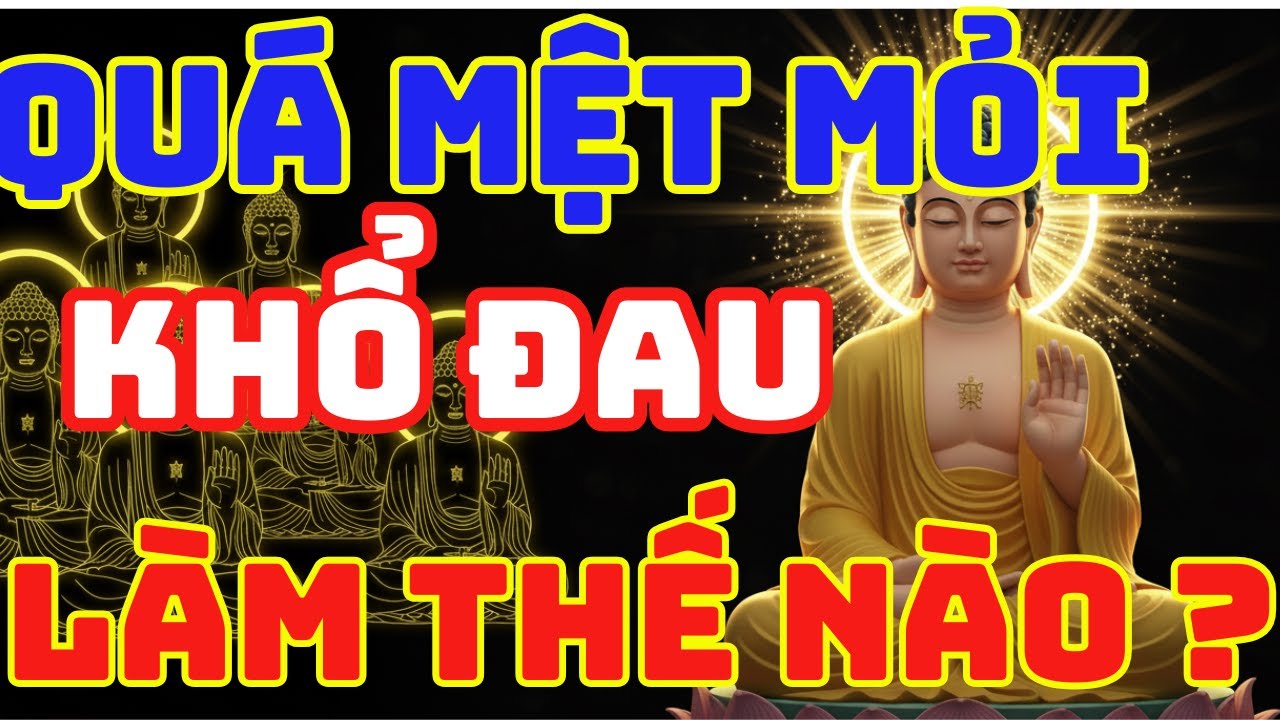 Khi Mọi Thứ Chống Lại Bạn: Hãy Ngồi Xuống và Nghe Lời Phật Dạy – Bí Quyết Buông Xả Để Tâm Được An