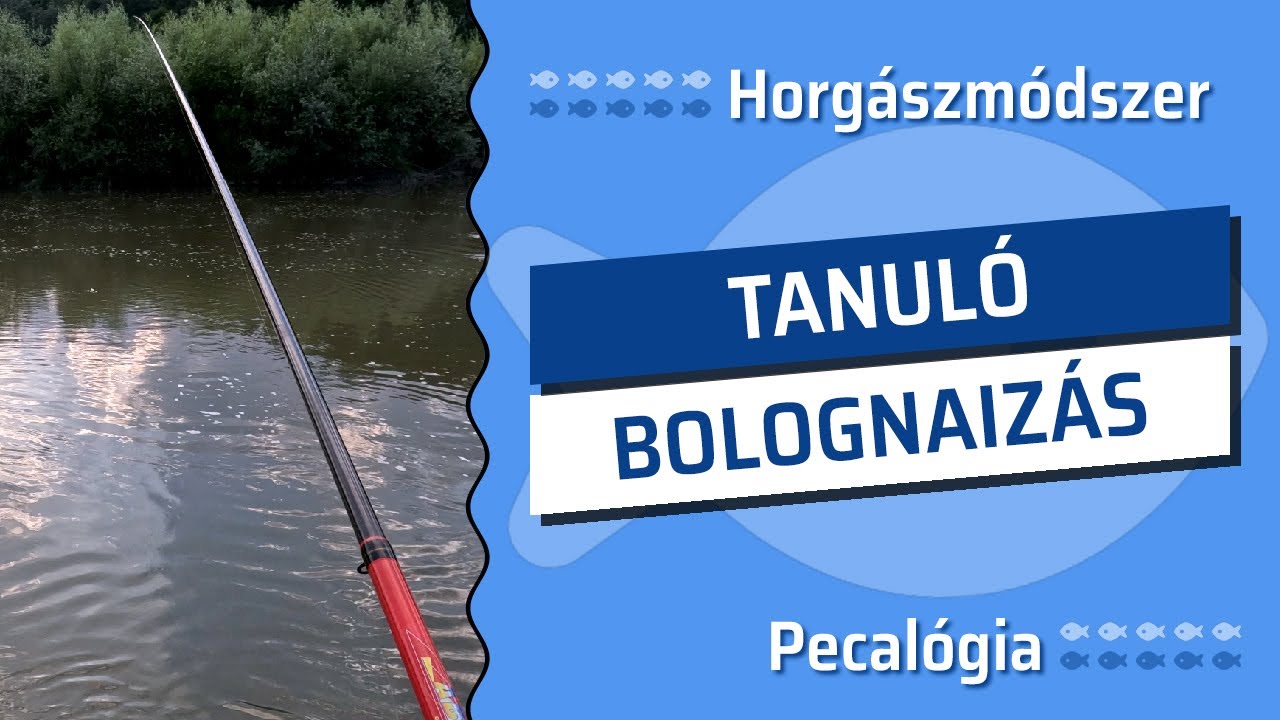 Tanulságos Bolognaizás Márnára a Maroson Kezdőknek - Pecalógia