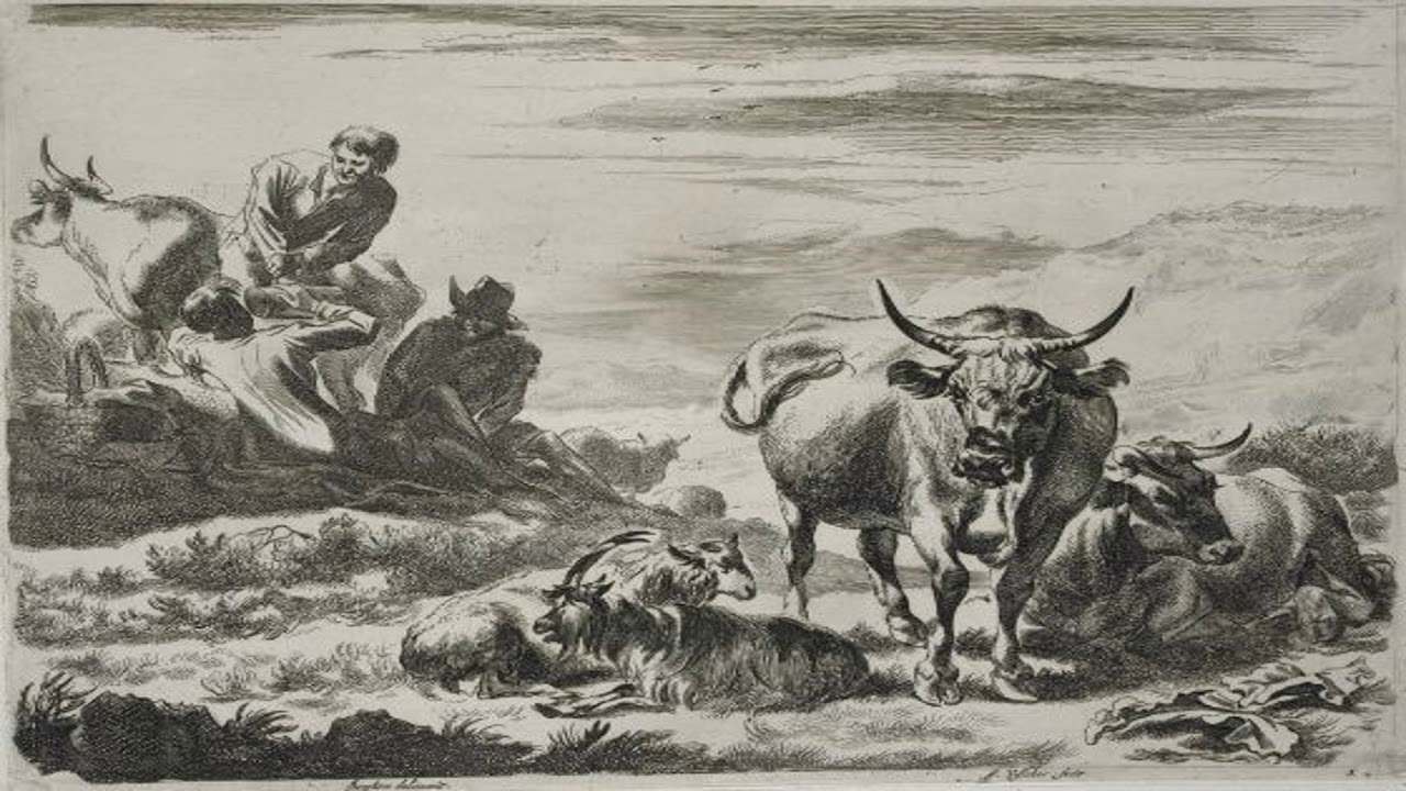 Case Study: Culture of Honor In The Southern United States