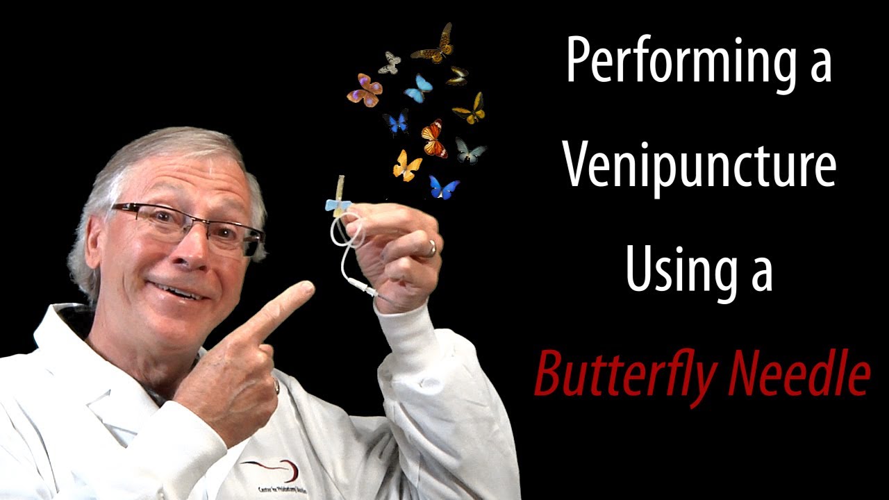 How To Draw Blood With A Butterfly Needle