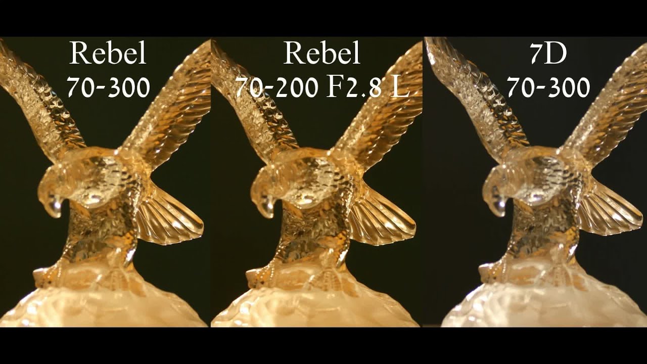 What Affects Image Quality? Lens vs. Camera Body