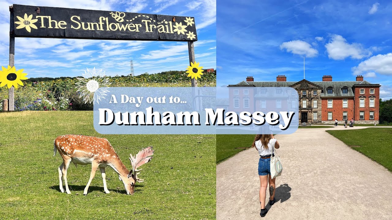 Day out to Dunham Massey House, Deer Park & Gardens | +  Sunflower Trail & Farm | August '22