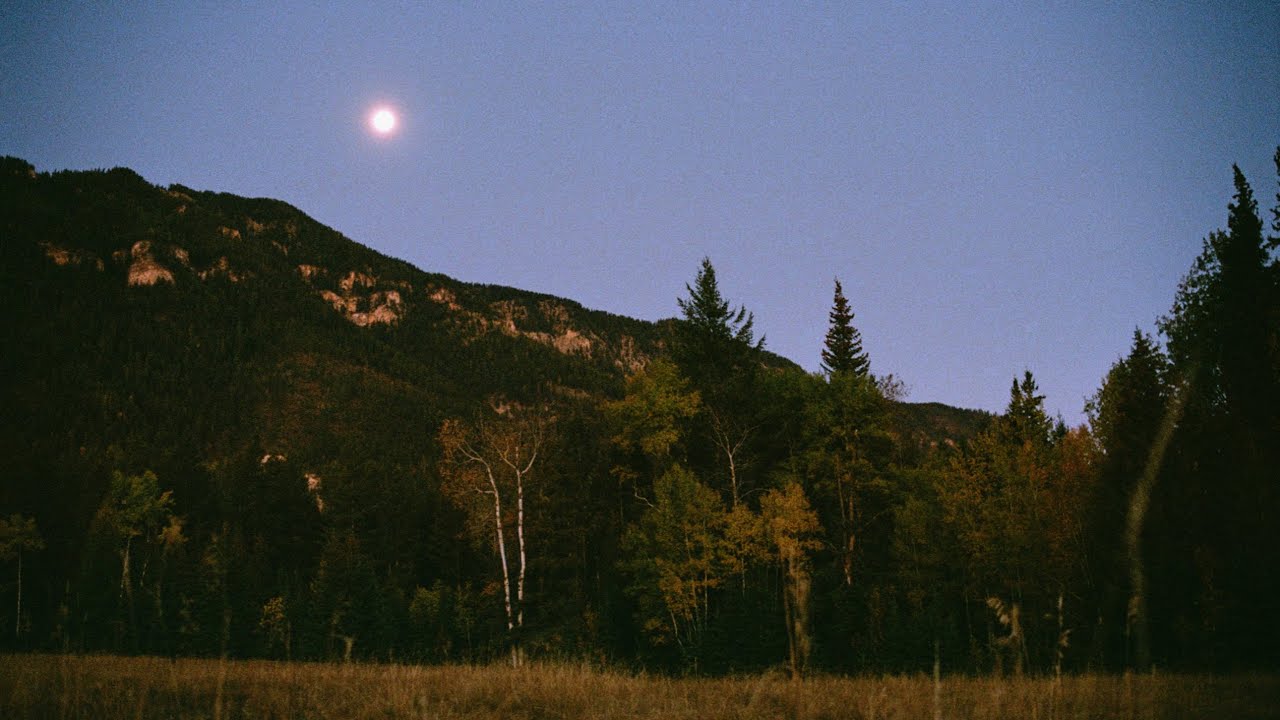 (free for non-profit) indie folk / acoustic type beat “moonglow”