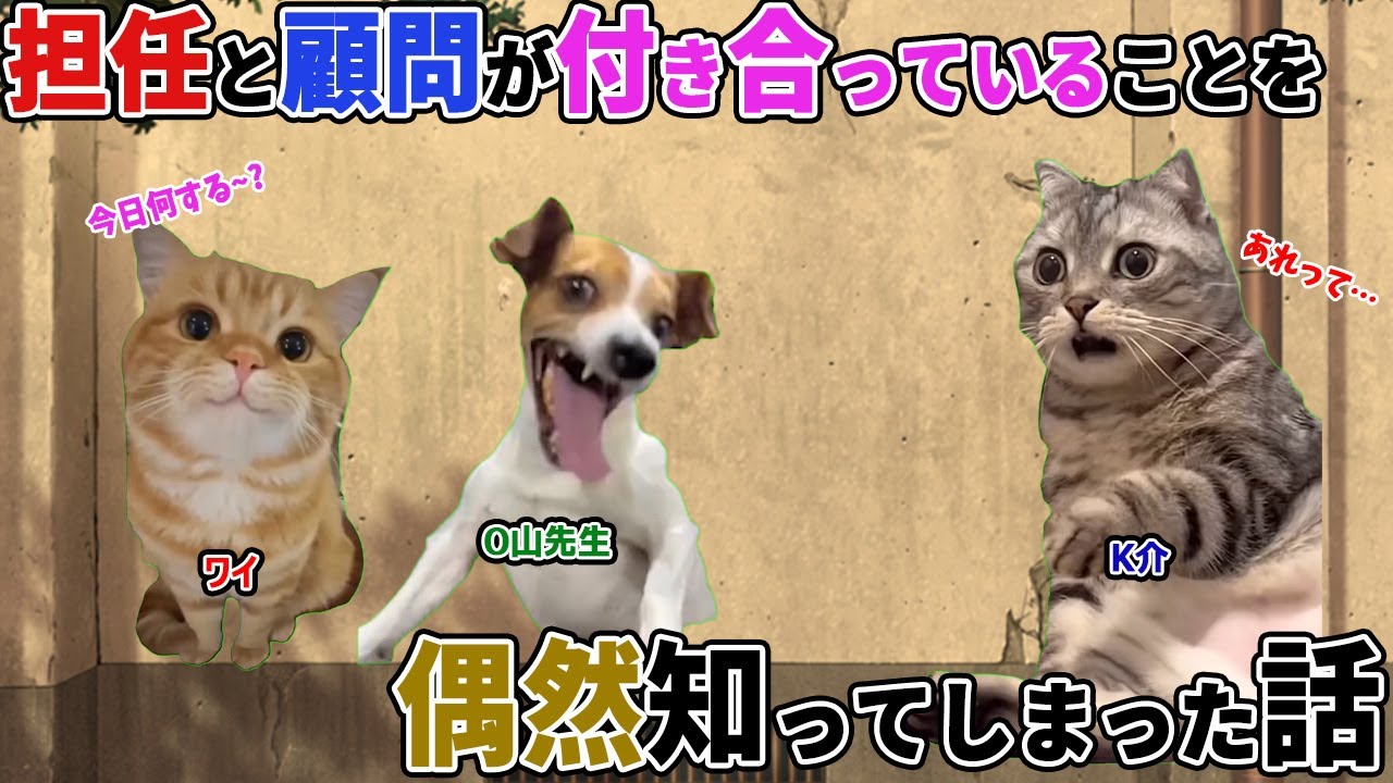 【ほぼ実話】担任と部活顧問が付き合っていることを偶然知ってしまった話【猫ミーム】【猫マニ】