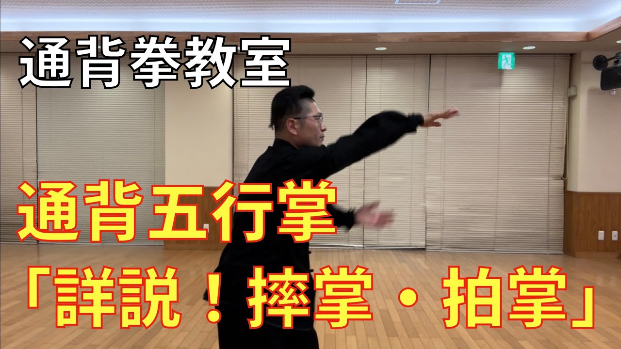 【通背拳教室】通背五行掌「詳説！摔掌・拍掌」