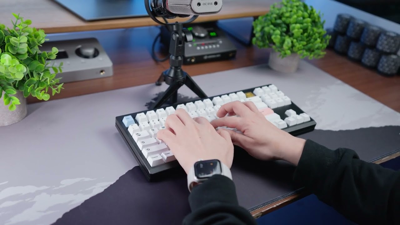 Keyboard Sound Test: Leo80 TKL with Turtle Silent Switches