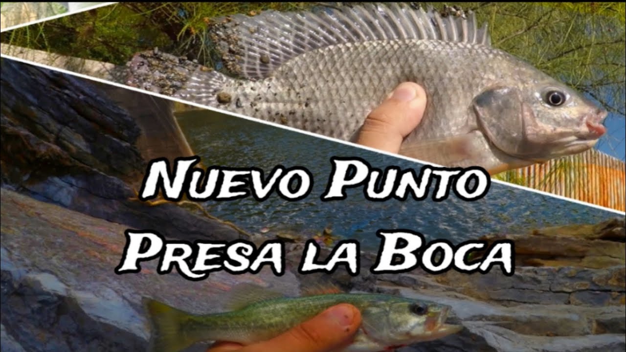 Pesca en Nuevo León - Presa la boca - PESCANDO CON EL REGIO