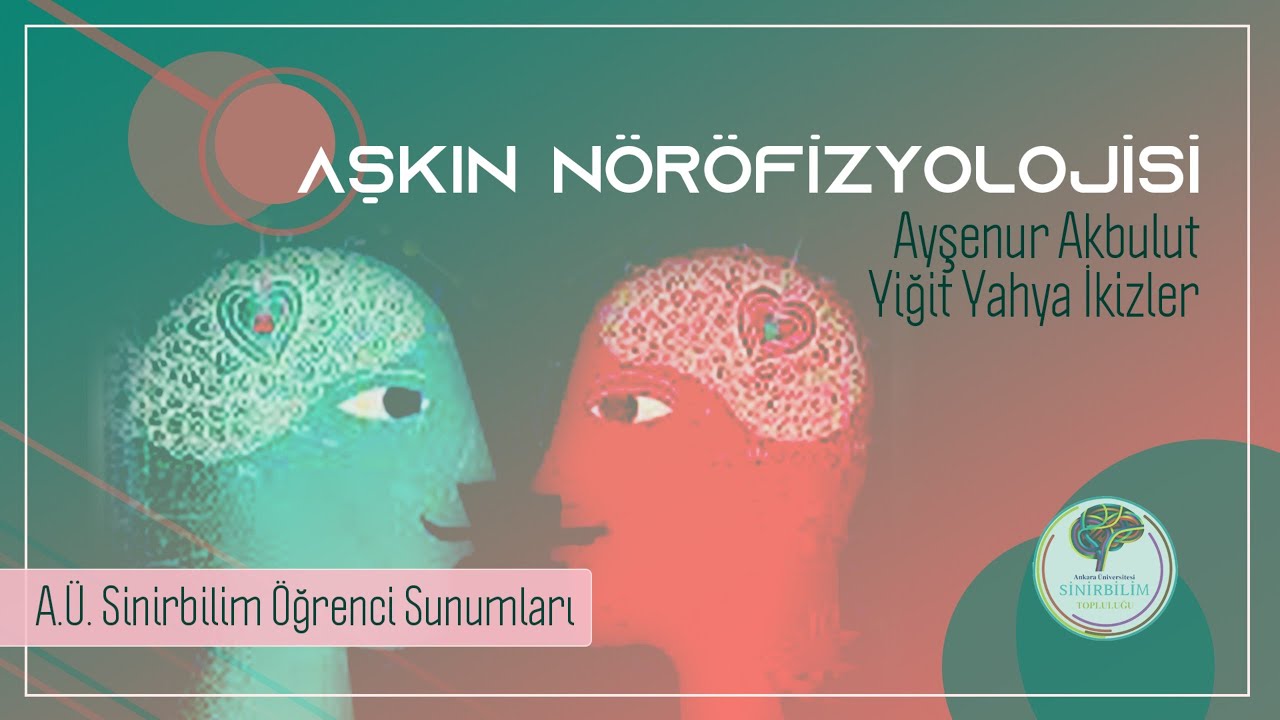 Aşkın N&ouml;rofizyolojisi- Ayşenur Akbulut ve Yiğit Yahya İkizler - A&Uuml; SİNİRBİLİM